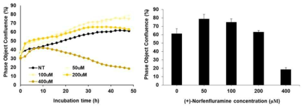 (+)-Norfenfluramine 처리에 따른 EPC의 세포 성장 실시간 추적 Incucyte 그래프
