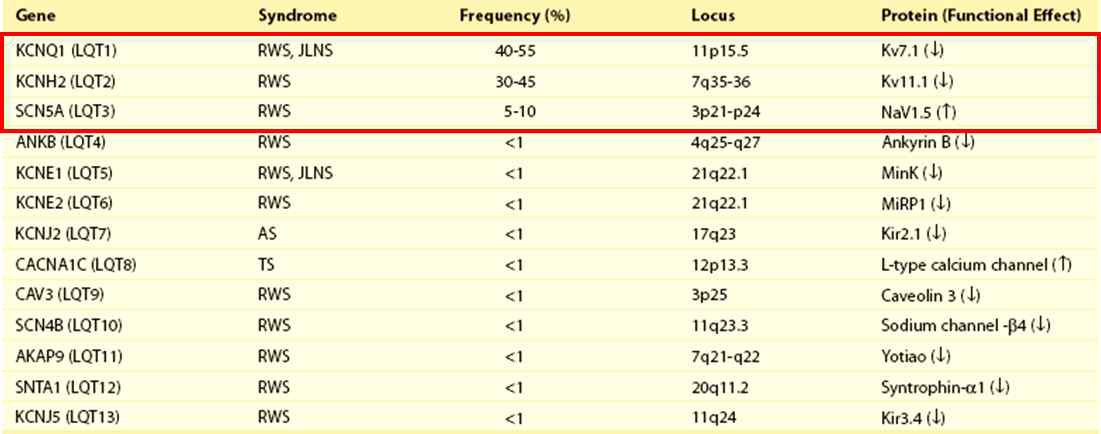 LQTS의 종류 및 발병 원인 유전자