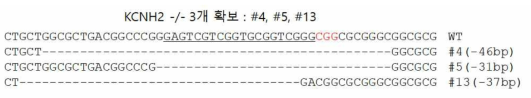 CRISPR/Cas9를 통해 KCNH2가 Knock-out된 hiPS clone의 sequence