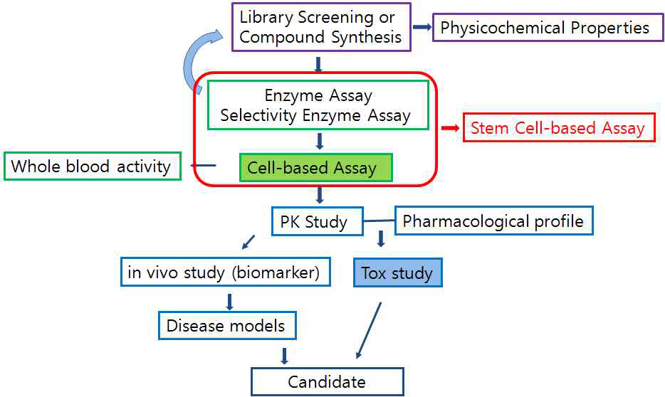 전통적인 신약개발 전략의 한계성을 극복할 수 있는 Stem cell-based assay