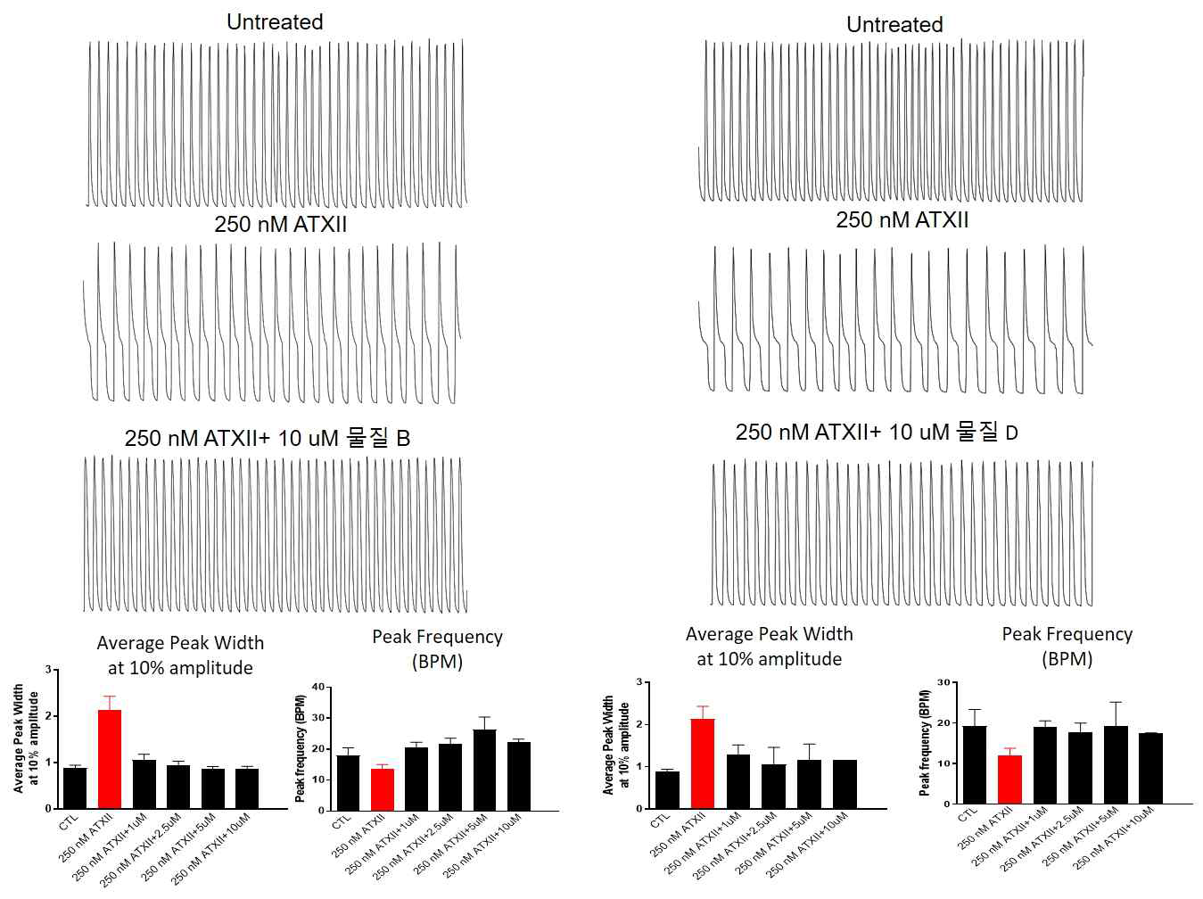 hiPSC 유래 심근세포에서 ATXII 약물을 이용한 LQTS3 모델에서 유효성 물질들의 peak의 변화