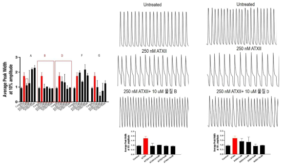 hESC-derived 심근세포에서 ATXII 약물을 이용한 LQTS3 모델에서 후보물질의 peak 변화