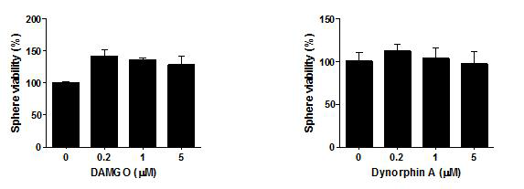 Growth Inhibition of ovarian CSCs by opioid receptor Agonists