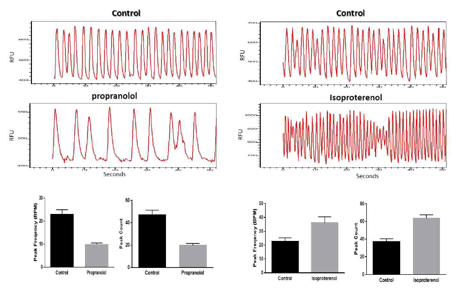 Reference 약물, propranolol과 isoproterenol을 처리 후, 인간 심근세포에서의 calcium 신호 변화 (peak count와 peak pattern)에 따른 peak 변화 비교