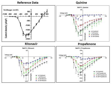인간줄기세포 유래 심근세포에서 NaV1.5 이온채널 blockers quinine, ritonavir, propafenone을 처리 후, 막전압 변화에 따른 이온채널 활동 변화 검증