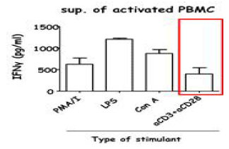 여러가지 PBMC stimulator를 이용하여 PBMC를 자극 후 상층액에서 hIFNγ를 측정하였음