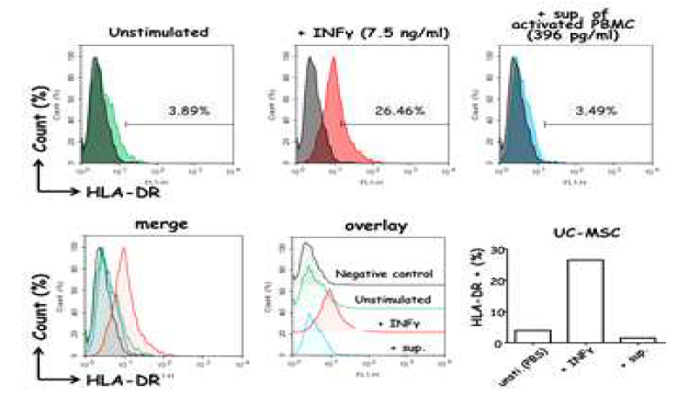 자극을 받은 UC-MSC에서 HLA-DR 발현량