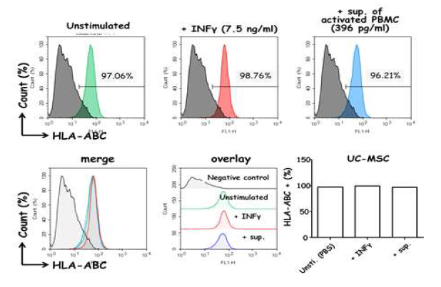 자극을 받은 UC-MSC에서 HLA-DR 발현량