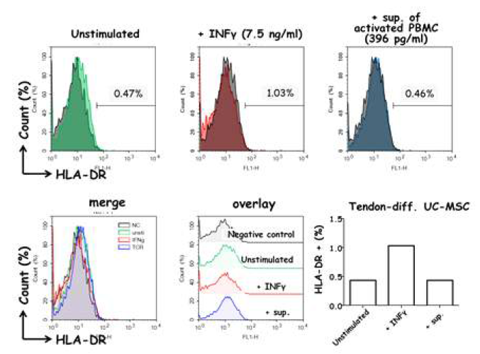 건분화된 UC-MSC에서 HLA-DR 발현량