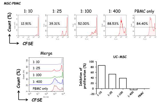 UC MSC와 PBMC 비율에 따른 PBMC의 증식억제 실험