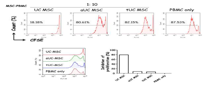 stimulated UC-MSC 및 건분화 UC-MSC의 면역세포 증식 억제 정도