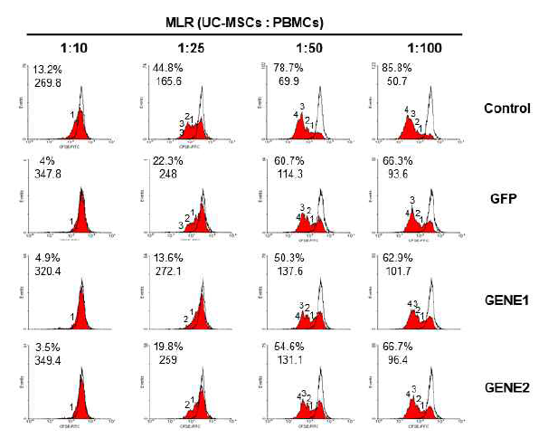 GE-UC-MSC-Control 및 GFP, GENE1, GENE2 삽입된 GE-UC-MSC의 면역조절능 시험 (대표그림)