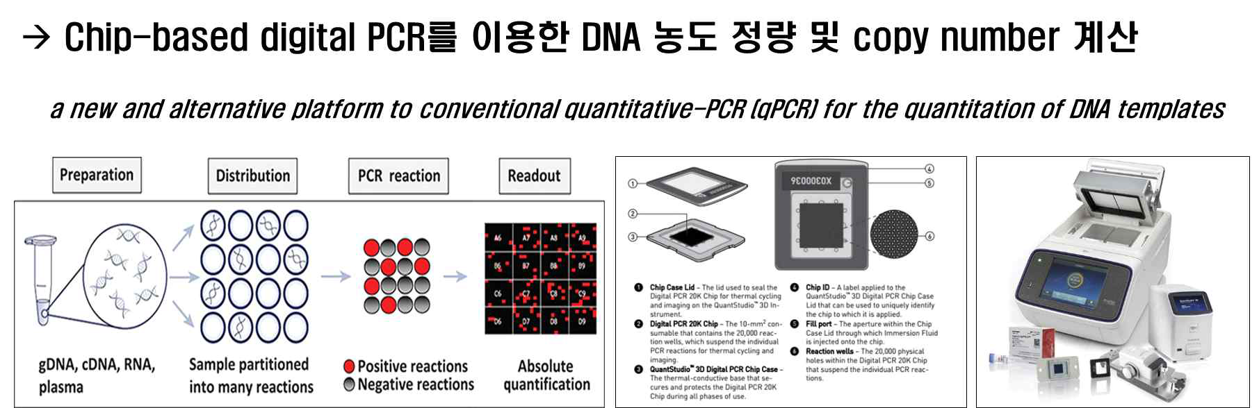 chip-based digital PCR 방법 모식도