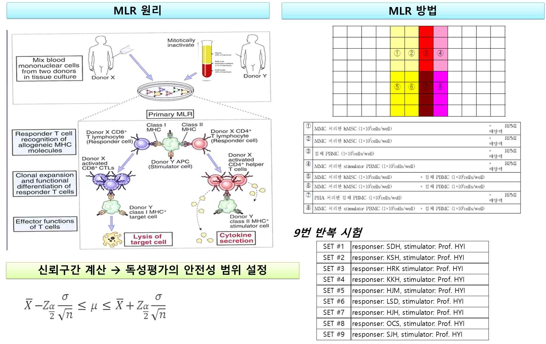 혼합림프구반응(MLR) 원리 및 방법, 안전성 범위 설정 방법