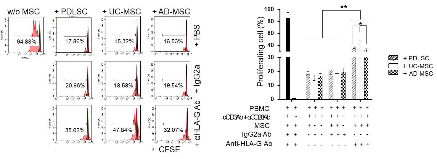anti-HLA-G blocking antibody를 이용한 UC-MSC, Ad-MSC, PDLSC의 면역저해능 회복 검증
