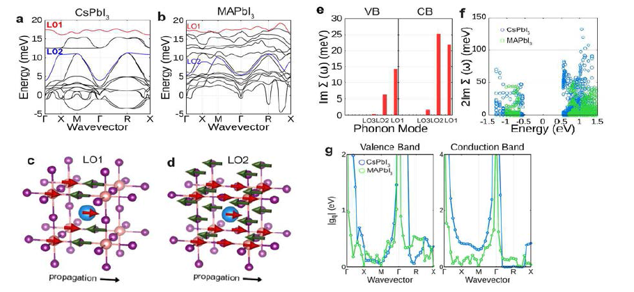 (a) CsPbI3 (b) MAPbI3 포논 분산의 비교. VB와 CB에서 e-ph 커플링에 기여하는 LO1(적색)과 LO2(청색). CsPbI3의 (c) LO1과 (d) LO2의 고유 모드. (e) BZ의 R (0.5, 0.5, 0.5)에서 VB 및 CB의 전자-포논 자기에너지(self-energy): 3개의 주요 LO 모드: LO1, LO2 및 LO3(세번째로 높은 LO 모드). (f) BZ의 R(0.5, 0.5, 0.5) 부근에서의 CsPbI3 (청색) 및 MAPbI3 (녹색)의 산란 (g) 장파장 e-ph 상호작용에 의한 CsPbI3(청색) 및 MAPbI3(녹색)의 Fröhlich vertex