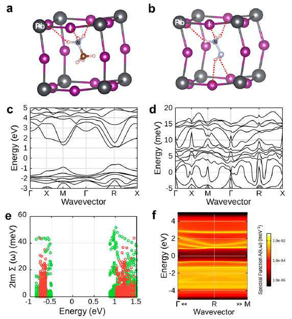 (a) A-사이트 유기 분자 MA (b) 무기 분자 HZ는 Pb (회색) 및 I (보라색)로 이루어진 8 면체로 둘러싸여 있고, I- 이온에 각각 (a) 3개와 (b) 5개의 수소 결합이 있다. (c) 전자 첫 브릴 루앙을 따라 DFT에서 입방 HZPbI3의 밴드 구조 Γ = (0.0, 0.0, 0.0), X = (0.0, 0.5, 0.0), M = (0.5, 0.5, 0.0), R = (0.5, 0.5, 0.5). (d) BZ를 따라 그린 입방 형 HZPbI3 포논 띠. (e) MAPbI3 (녹색) 및 HZPbI3 (적색)의 전자-포논 자체 에너지의 허수부. (f) 스펙트럼 함수 A(k, ω)와 전자-포논 자체 에너지를 R(ξ, ξ, ξ)에서 M(0.5, 0.5, ξ)으로 가는 방향을 따라서 그린 것이다 (0.45 ≤ ξ ≤ 0.5)