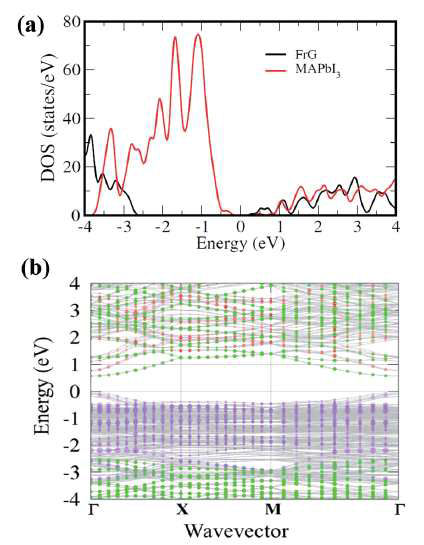 GGA + SOC 방법을 사용하여 계산 된 FGr/MAPbI3 계면의 (a) DOS, (b) 띠 구조. 띠 구조 에서 계면 원자의 기여도가 표시되어 있다. [Pb (빨강), I (보라색), FGr (녹색)]