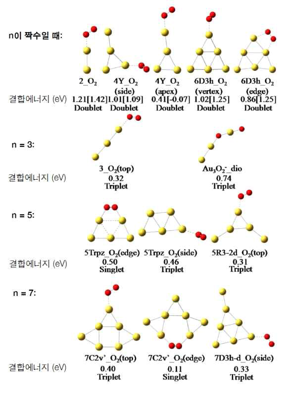 금의 음이온 클러스터(Aun-)에 산소 분자가 흡착된 AunO2- 화학종이 취할 수 있는 구조의 종류와 안정성 계산 결과. 여기서 황색은 금, 적색은 산소원자를 나타낸다