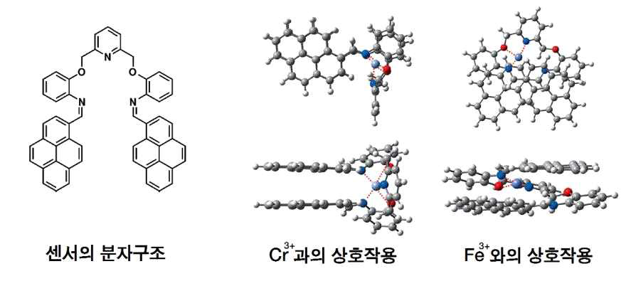 3가 철 이온보다 3가 크롬 이온을 선택적으로 센싱하도록 디자인한 센서 분자의 구조. 밀도범함수 이론 수준에서 해당 센서 분자가 Cr3+/Fe3+ 이온과 이루는 최적 상호작용 구조의 차이를 계산한 모습이 같이 주어져있다