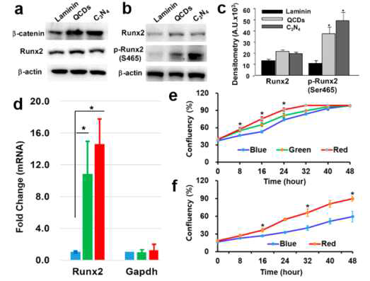 (a-c) 인간 골수 조직세포 mRNA 분화도. (d-f) 빛 파장대에 따른 mRNA 분화도