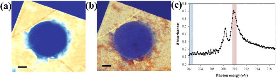 (a, b) 702와 710eV에서 LGS를 삽입한 산화철의 STXM 이미지, (c) 산화철의 흡광도
