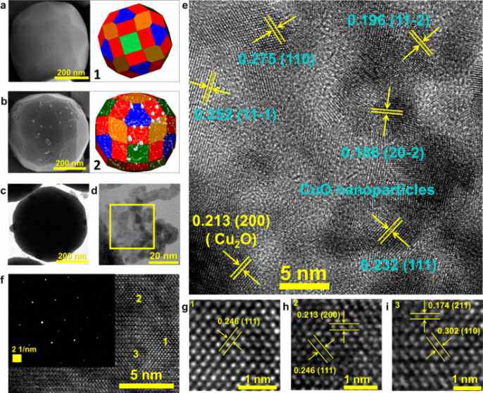 a, b 50-facet Cu2O와 CuO-NPs/50-facet Cu2O의 SEM 그림. c, d CuO-NPs/50-facet Cu2O TEM 그림. f-i CuO-NPs/50-facet Cu2O의 고성능 투과전자현미경 (HRTEM) 그림