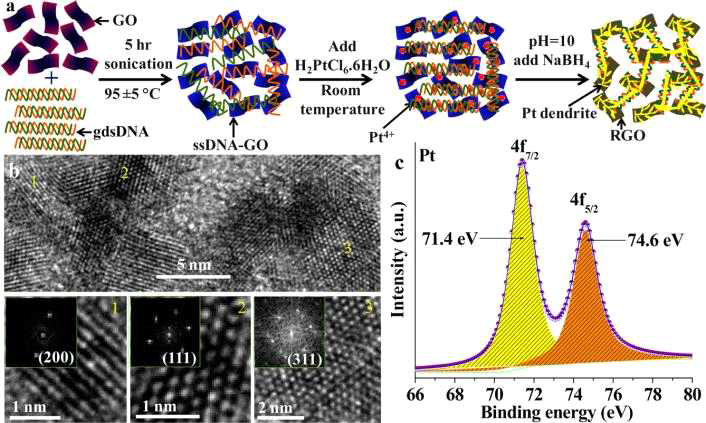 음이온으로 하전된 DNA를 이용해평면 구조의 나노 구조물인 Graphene Oxide(GO)를 촉매 지지대로 활용하여 플래티늄 나노 입자를 합성