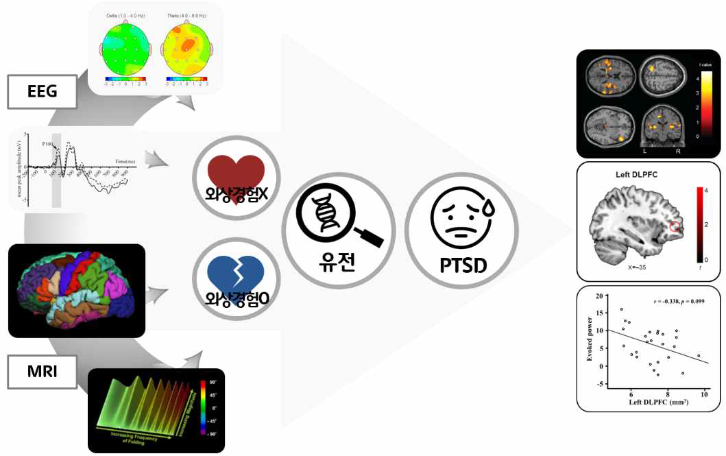 EEG 및 MRI 지표를 이용한 그룹 간 분석 방법: 유전요인의 고려 및 상호작용 연구