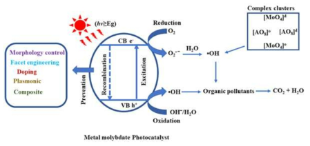 금속 몰리브데이트 물질의 광촉매 메커니즘