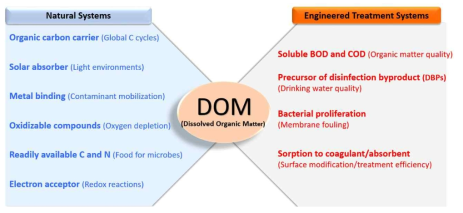 자연계 및 수처리공학시스템 내 DOM의 환경적 기능
