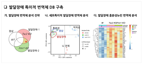 발달장애 특이적 번역체 DB 구축