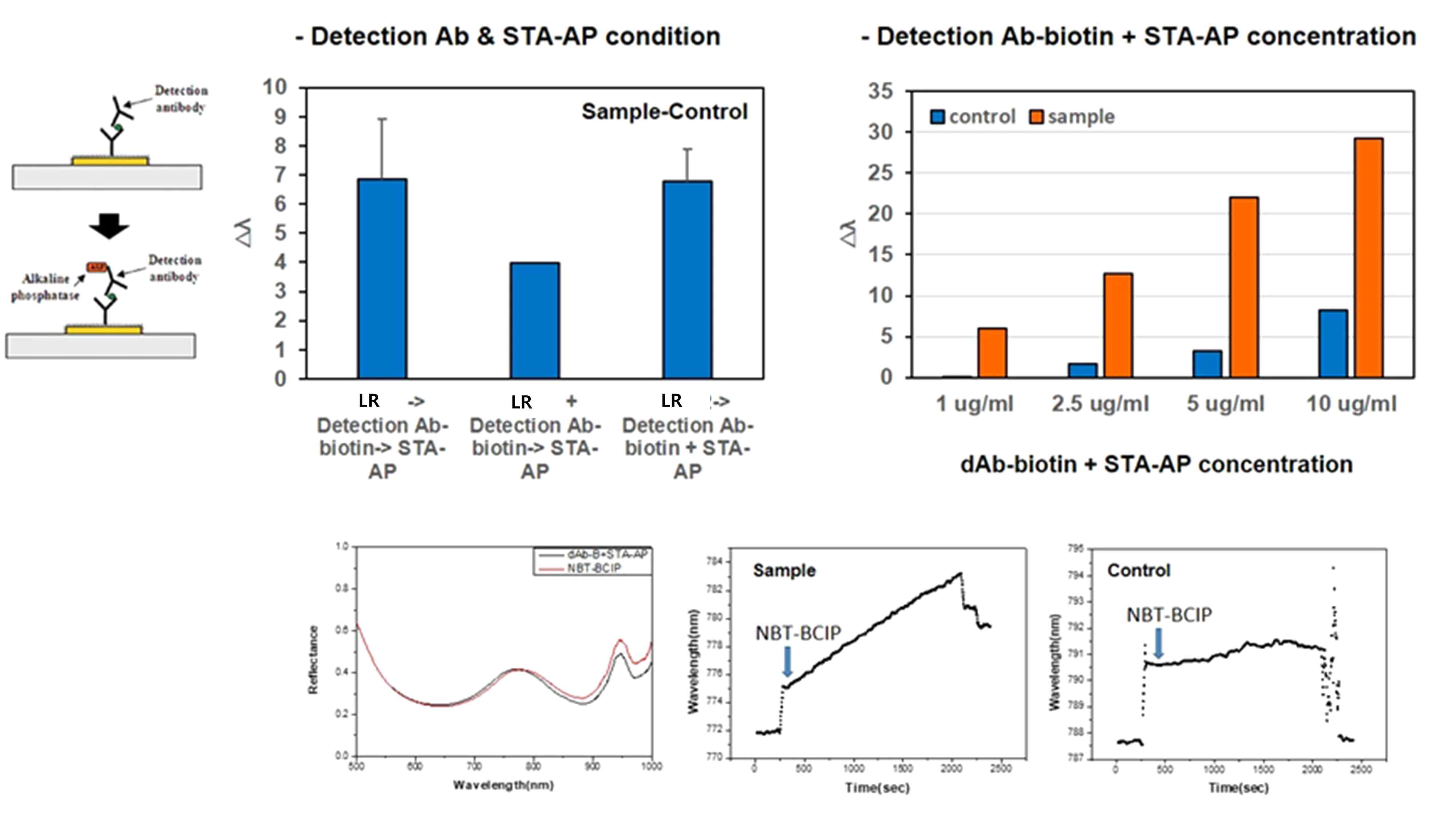 LR-Fc 검출을 위한 반응조건 최적화와 LSPR sensorgram 그래프