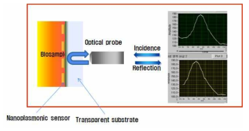 후면입사 및 반사를 통한 플라즈모닉 스펙트럼 관측 방식