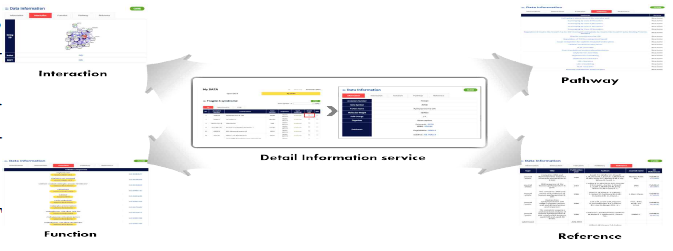 Detail Information 서비스에서 제공하는 정보들