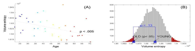 정상군에서 나이에 따라 볼륨엔트로피로 측정한 뇌회로 효율성이 감소함을 알 수 있음