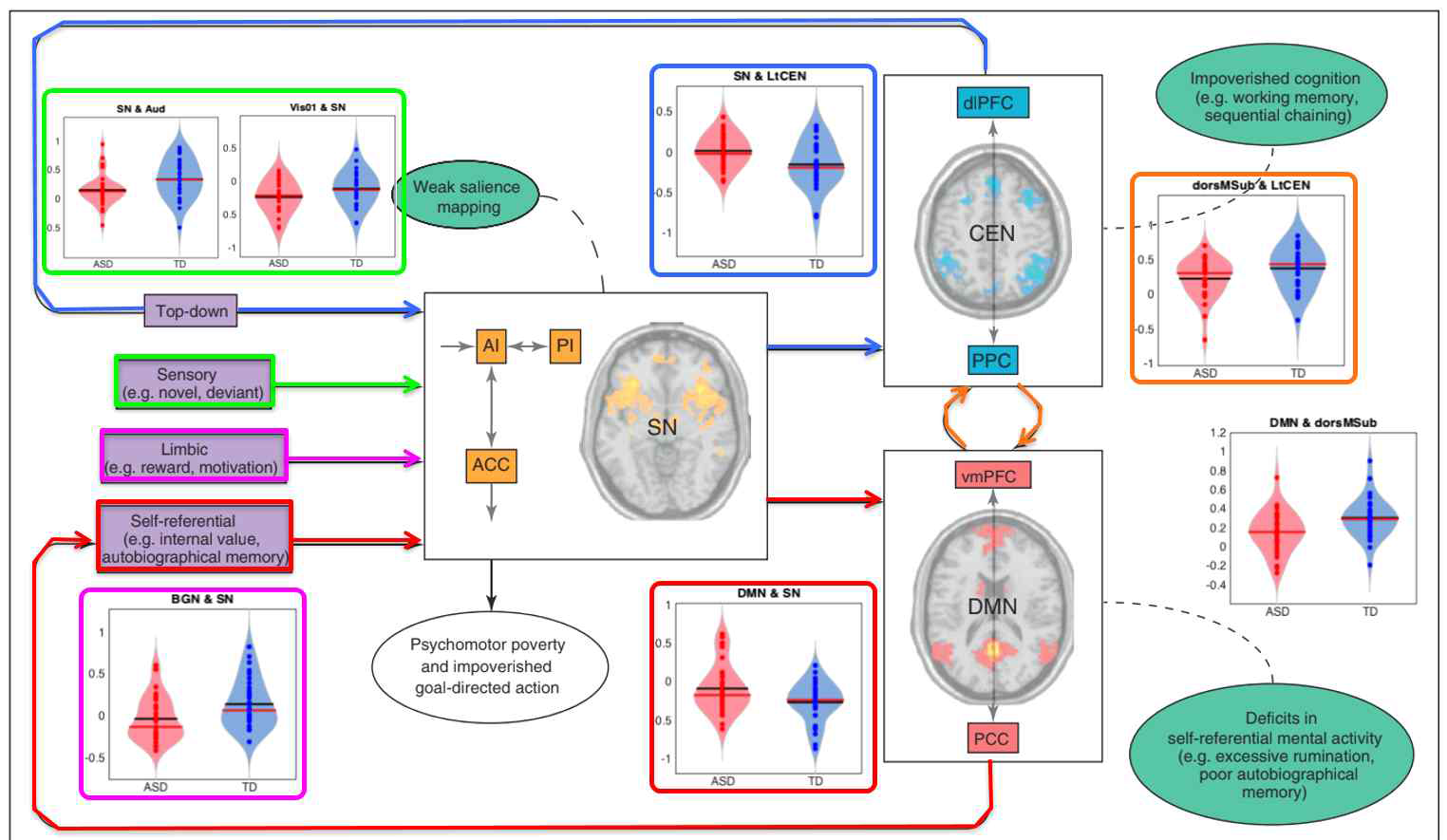 ASD와 정상 발달 집단 간 resting-state network 의 연결성 차이 (p < 0.05)