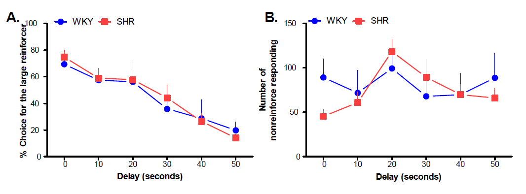 delay discounting task