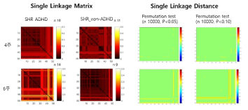 SHR_ADHD 표현형 그룹과 비표현형 (SHR_non-ADHD) 그룹간의 persistent homology로 구한 뇌대사연결성 (single linkage matrix) 분석