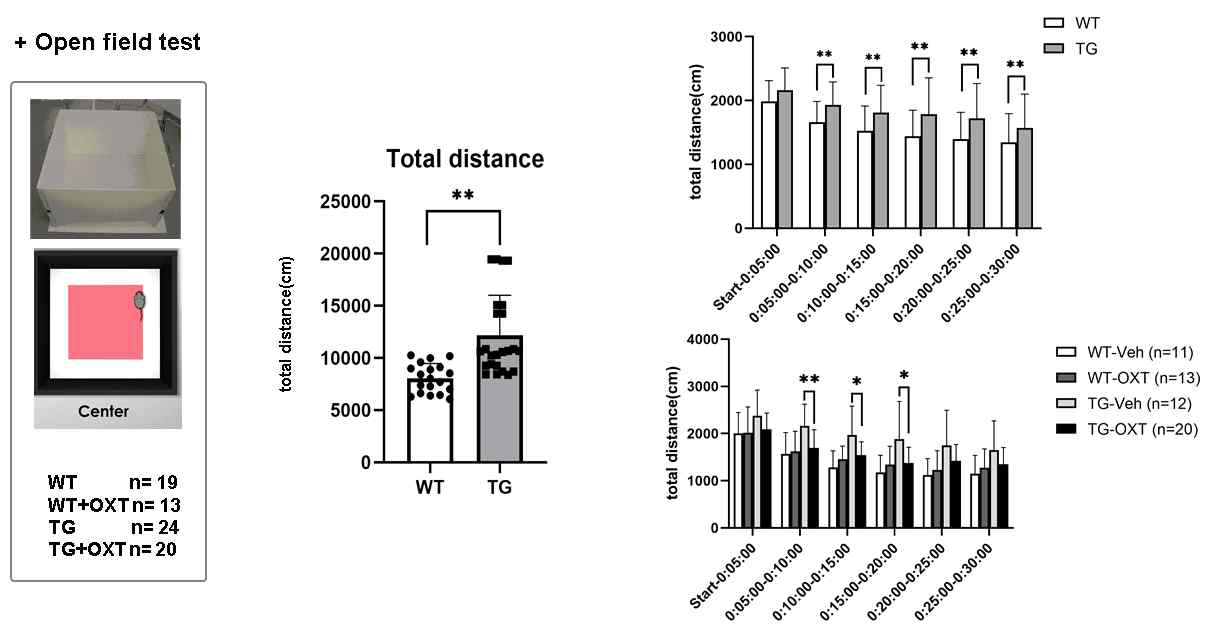 WT과 FMR1 KO 마우스의 총 이동 거리 분석 결과(왼쪽), 30분간 이동 거리를 5분간 분석한 결과(오른쪽 위)와 옥시토신 투여 군과 비교 분석 결과 (오른쪽 아래)