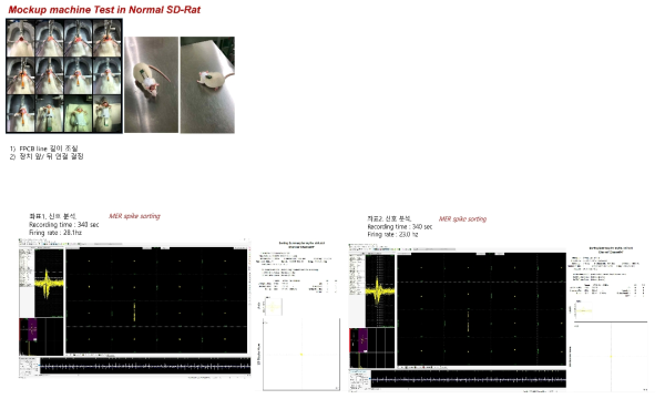 다채널 전극의 in vivo test 및 신호분석 (spike sorting)