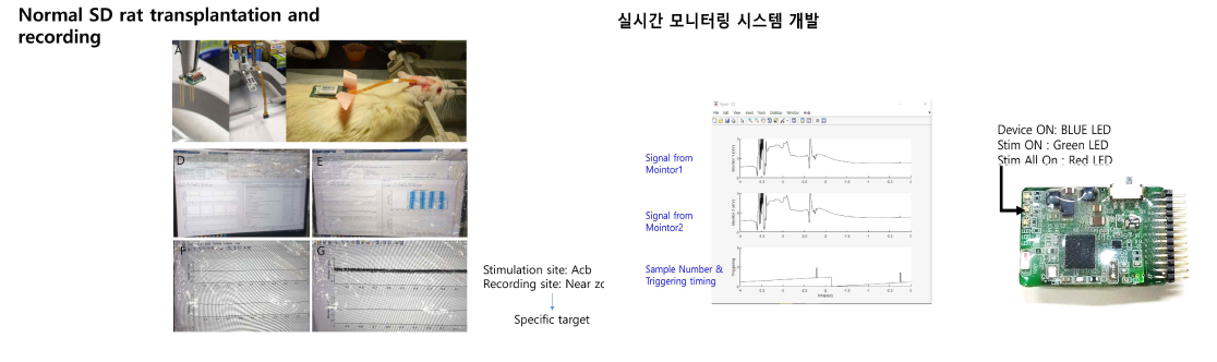 실시간 모니터링을 이용한 소동물에서의 신호측정