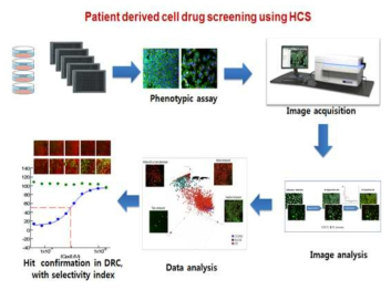환자유래세포의 HCS 실험 개요