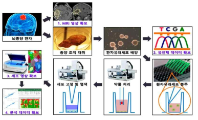 뇌종양 환자유래세포의 HCS 데이터베이스 구축 모식도