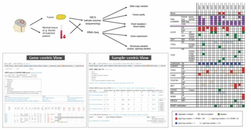 유전체 분석 파이프라인 (좌상), 데이터베이스 (좌하) 및 신경교종 분석의 예시 (우)