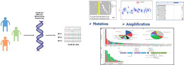 개별 환자의 유전체 변이 분석 모식도