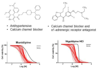 고혈압 치료제 Manidipine, Niguldipine의 구조와 약물 반응 결과
