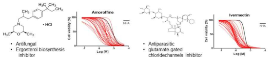 진균제 및 기생충 감염 치료제인 Ivermectin, Amorolfine의 구조와 약물 반응 결과