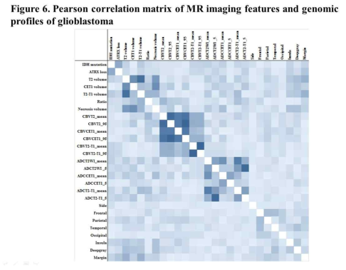 교모세포종 환자 유전 정보와 의료영상의 상관관계 분석