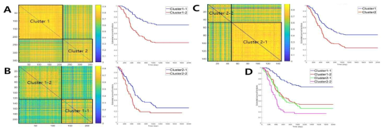추출한 이미지 특징을 활용하여 환자를 두 그룹으로 나눔 (A), 나뉘어진 두 그룹을 각각 두 그룹으로 다시 나눔 (B, C). 나뉘어진 네가지 그룹을 모두 가시화 한 생존분석 결과 (D)